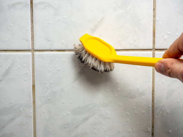 Best Fast Mold Removal  in Sandpoint, ID